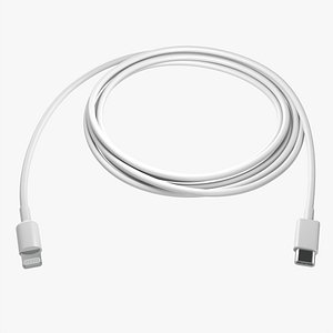 3D Lightning to USB C cable white model