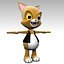 chaton de studio