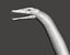 3D model plesiosauria