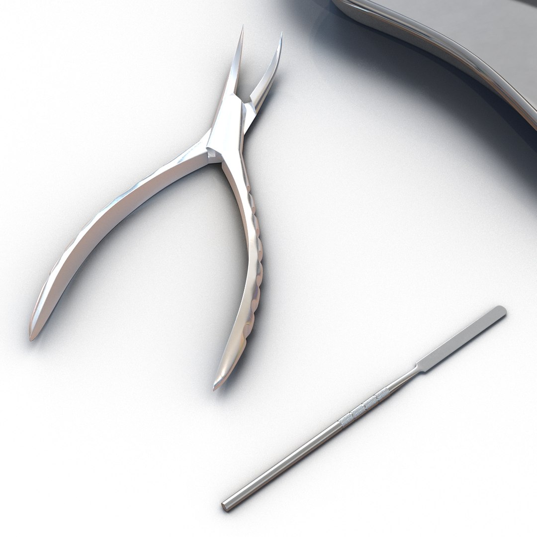 3d model kidney bowl equipment https://p.turbosquid.com/ts-thumb/BR/ZDlyh5/Db2ogwn2/kidneybowlandequipmentvray3dmodel05/jpg/1470326460/1920x1080/fit_q87/55231c841ada777028cfd798bb8cec233989a116/kidneybowlandequipmentvray3dmodel05.jpg