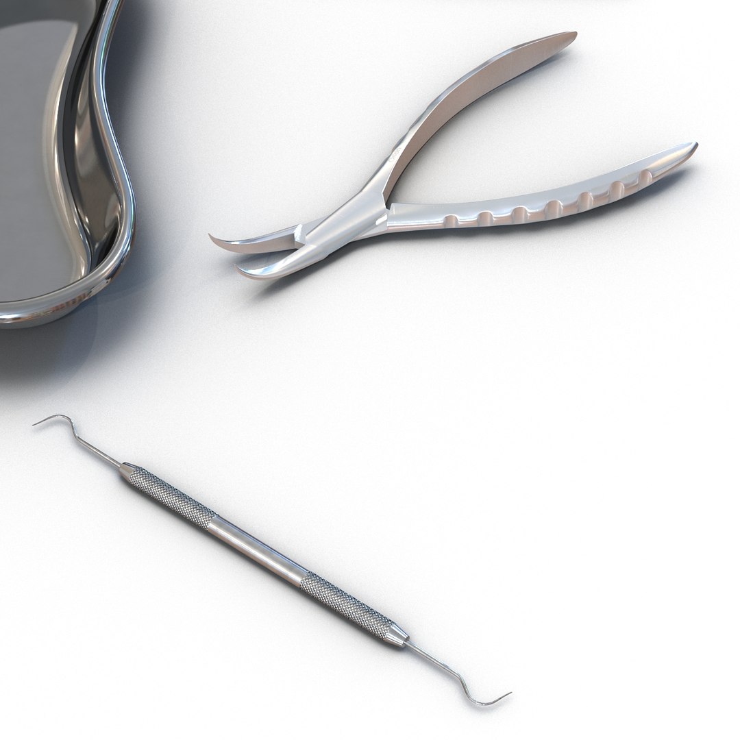 3d model kidney bowl equipment https://p.turbosquid.com/ts-thumb/BR/ZDlyh5/vpUxOgb5/kidneybowlandequipmentvray3dmodel06/jpg/1470326460/1920x1080/fit_q87/0537b68b3c054fbb811e81ad86b85d86b60b117a/kidneybowlandequipmentvray3dmodel06.jpg