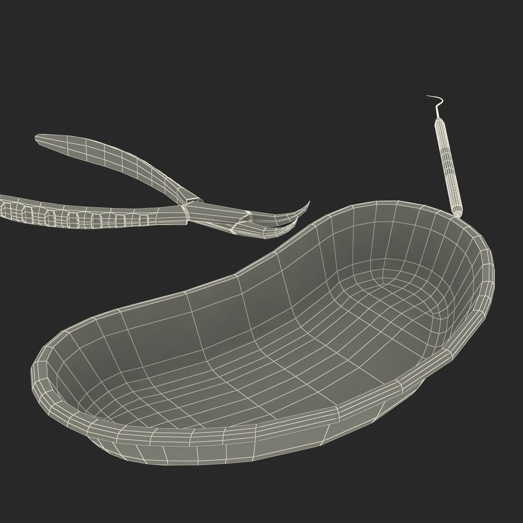 3d model kidney bowl equipment https://p.turbosquid.com/ts-thumb/BR/ZDlyh5/wXhwv7m2/kidneybowlandequipmentvray3dmodel47/jpg/1470326464/1920x1080/fit_q87/34339e598651aa27a4a8f872b09cce3e99478467/kidneybowlandequipmentvray3dmodel47.jpg