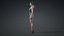 Elegantes Frauen-3D-Modell