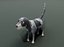 Cartoon Hound Dog 3D 모델