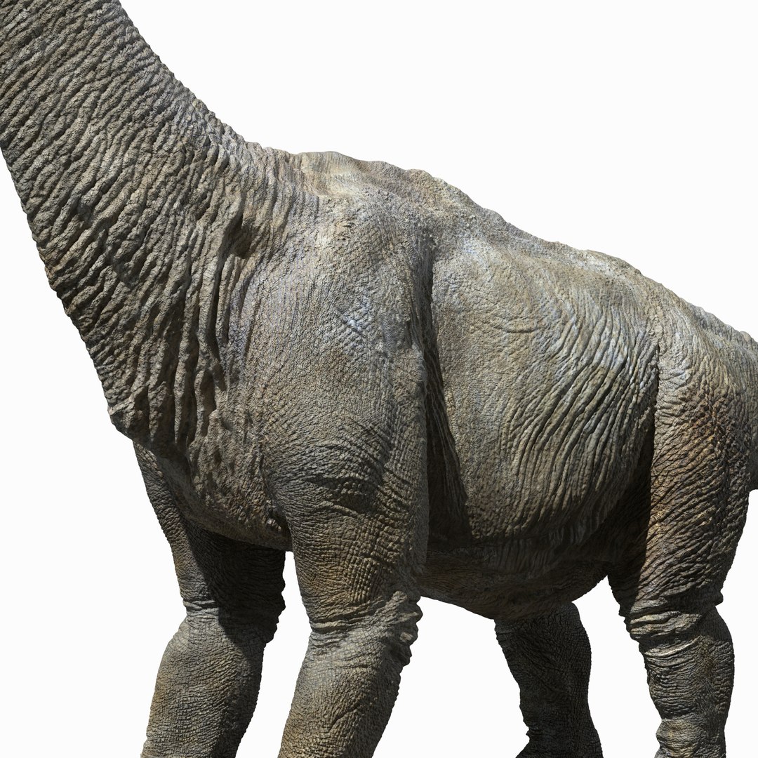 3D brachiosaurus v-ray rigged https://p.turbosquid.com/ts-thumb/BS/8mbpC6/1nfT2Qsm/04/jpg/1513126854/1920x1080/fit_q87/bd8e2e7789f9c7ebd845095bf36e0e75bd88bfad/04.jpg