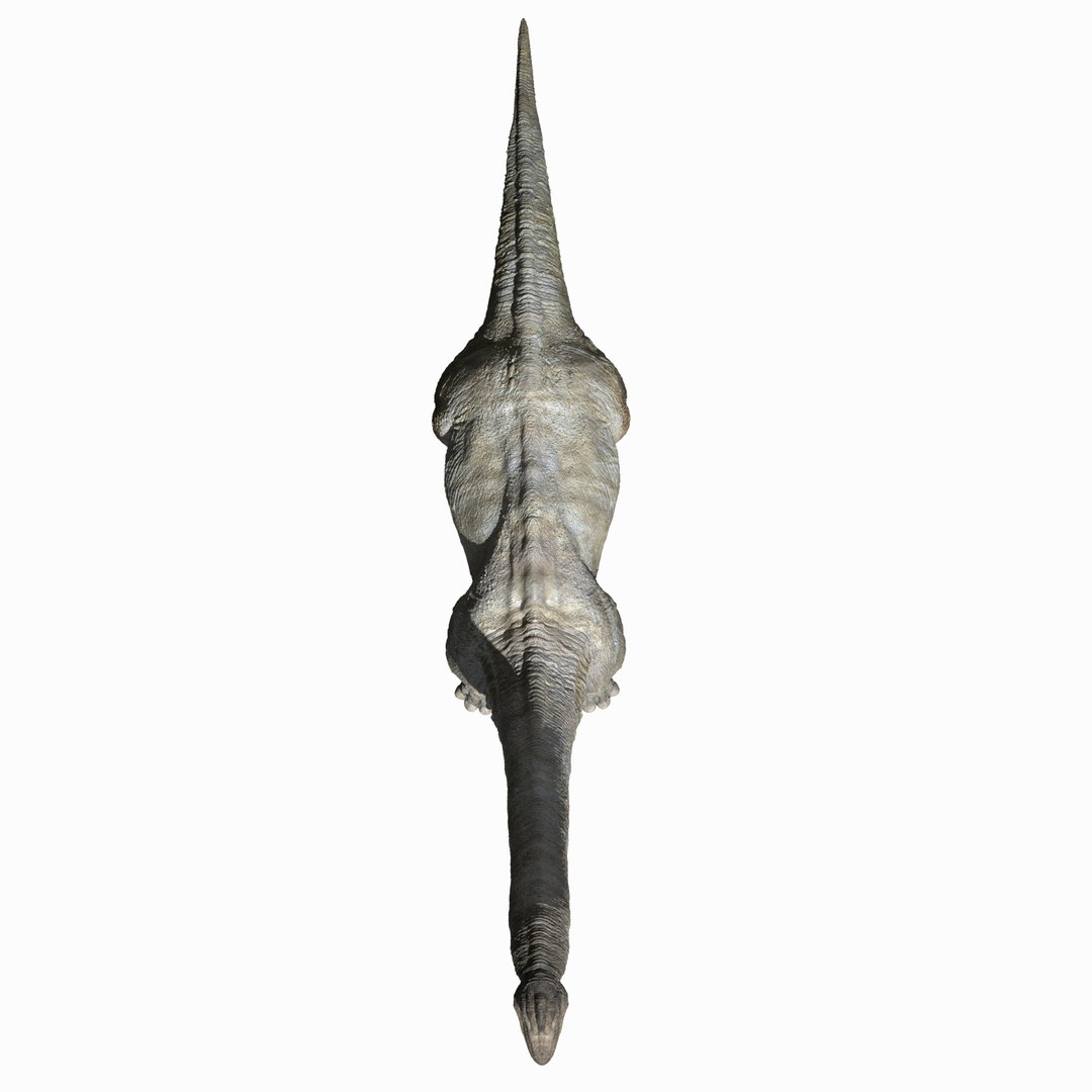 3D brachiosaurus v-ray rigged https://p.turbosquid.com/ts-thumb/BS/8mbpC6/8f8hy7JE/12/jpg/1513126854/1920x1080/fit_q87/bb64cc7d678edd75a2968f0e41bd12ce33495b19/12.jpg