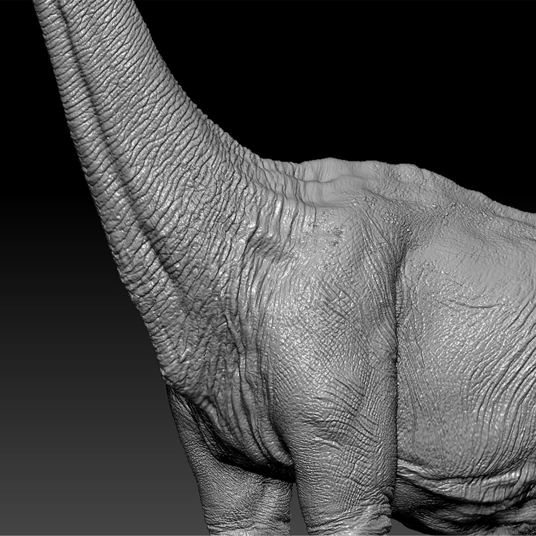 3D brachiosaurus v-ray rigged https://p.turbosquid.com/ts-thumb/BS/8mbpC6/A6PNWrpx/23/jpg/1513126855/1920x1080/fit_q87/90b4681ff4db8683741a4d2ee568390453bf81b0/23.jpg