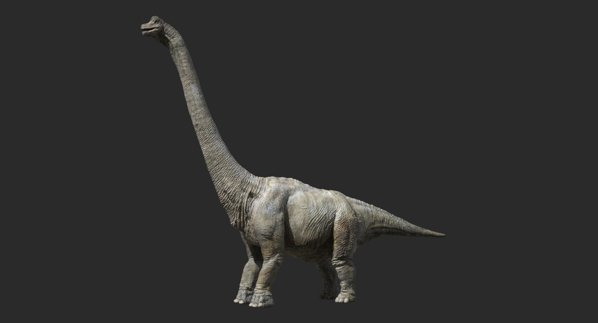 3D brachiosaurus v-ray rigged https://p.turbosquid.com/ts-thumb/BS/8mbpC6/FLKO1ttX/main2/jpg/1515668434/1920x1080/fit_q87/8f493dfe3f94e384768d3e977ed5b829f01780ae/main2.jpg