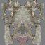 Brachiosauro (Attrezzato)