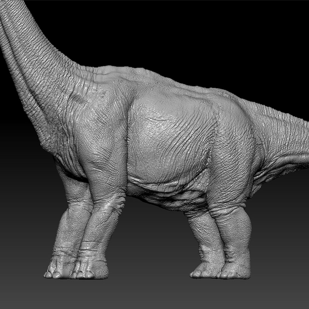 3D brachiosaurus v-ray rigged https://p.turbosquid.com/ts-thumb/BS/8mbpC6/WiooBxPU/22/jpg/1513126855/1920x1080/fit_q87/7824a7c5e7c6f8fc8b3f432264734554e505f9f4/22.jpg