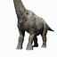 Brachiosauro (Attrezzato)