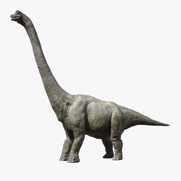 3D brachiosaurus v-ray rigged