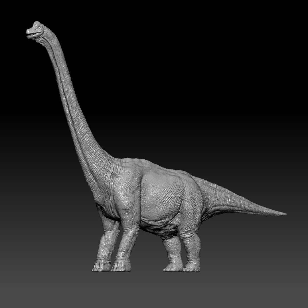 3D brachiosaurus v-ray rigged https://p.turbosquid.com/ts-thumb/BS/8mbpC6/rY3L6LM7/20/jpg/1513126855/1920x1080/fit_q87/09c1f12d1492f0543519b2795939712dbc5ae231/20.jpg