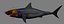 megaldon