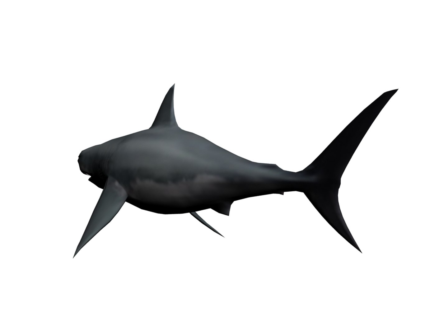 3ds megaldon shark https://p.turbosquid.com/ts-thumb/BS/A5sbaX/3st60SIC/05/jpg/1406625288/1920x1080/fit_q87/fdfdbda4da269842969589d758103a90fba457f1/05.jpg