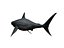 megaldon