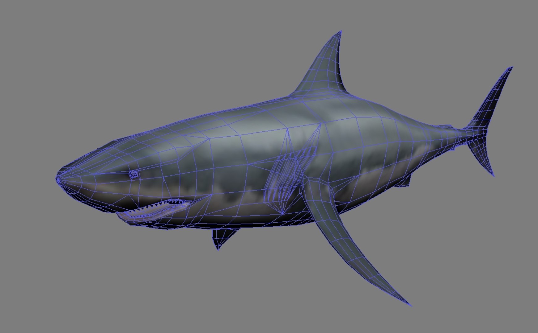 3ds megaldon shark https://p.turbosquid.com/ts-thumb/BS/A5sbaX/8K2Lb7sv/06/jpg/1406625327/1920x1080/fit_q87/d3f060c8f28f2e9d1060e405f5cd6a01ff5e669b/06.jpg