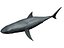 megaldon
