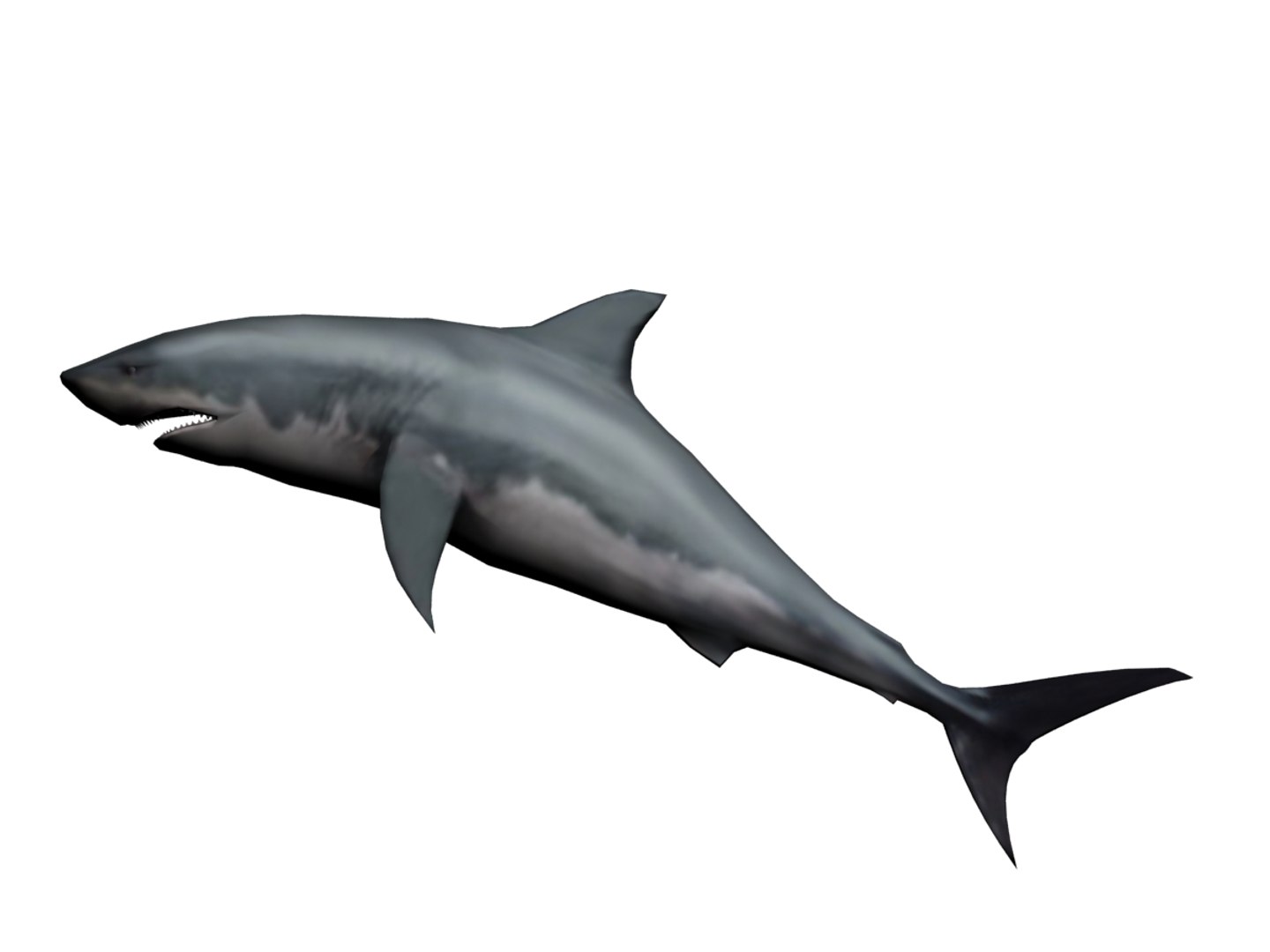 3ds megaldon shark https://p.turbosquid.com/ts-thumb/BS/A5sbaX/grRfigYO/front01/jpg/1406625327/1920x1080/fit_q87/00de6915225708397420efa7c9a07b1196605ec0/front01.jpg