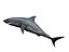 megaldon