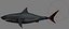 megaldon