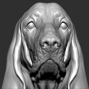 basset hound dog vfx 3D model
