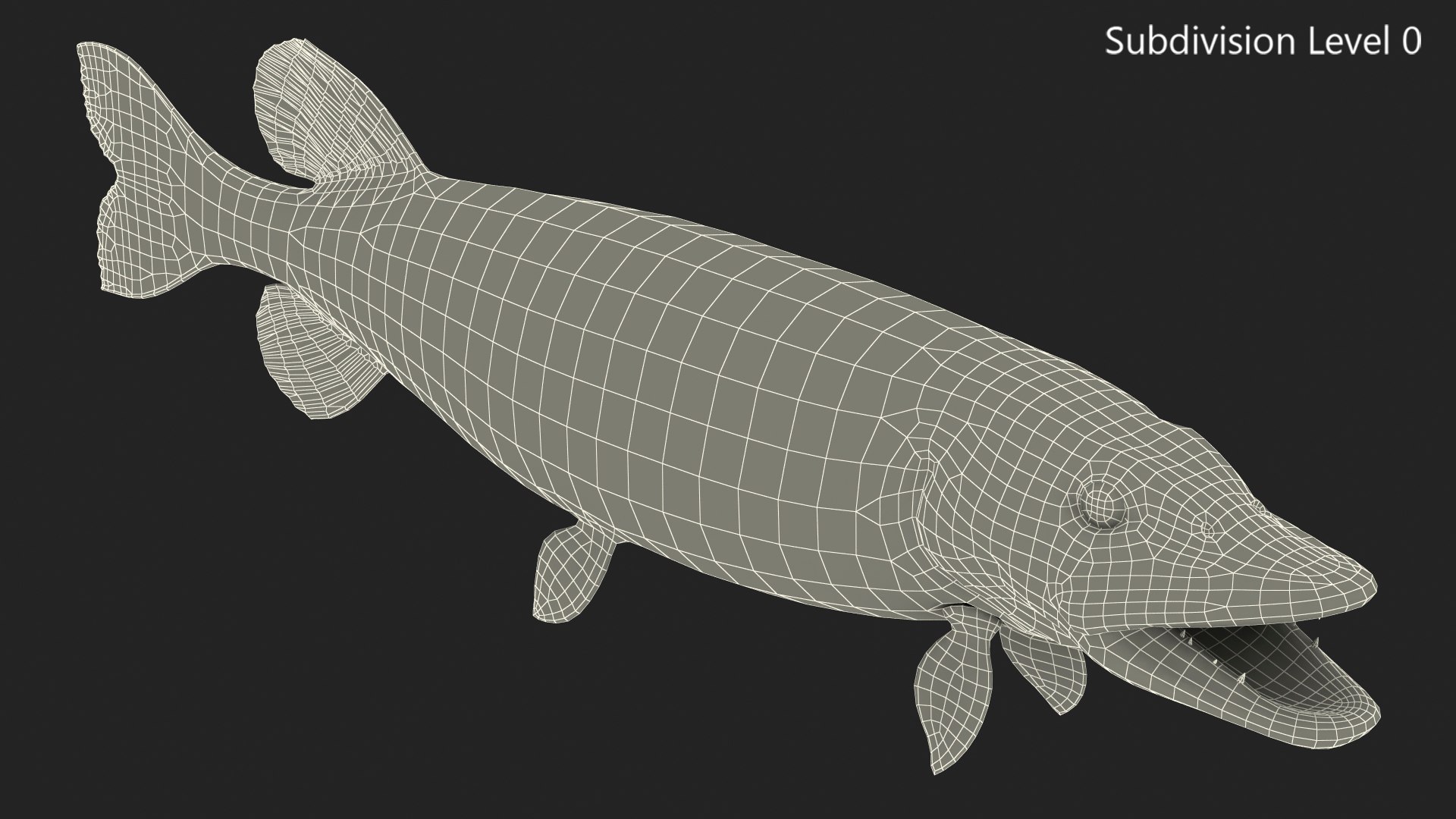 3D northern pike https://p.turbosquid.com/ts-thumb/BS/DPWgDY/5x6ekBIg/northernpikevray3dmodel012/jpg/1593689839/1920x1080/fit_q87/b80eb243aa5fc767385b668ea6052637a948b9d1/northernpikevray3dmodel012.jpg