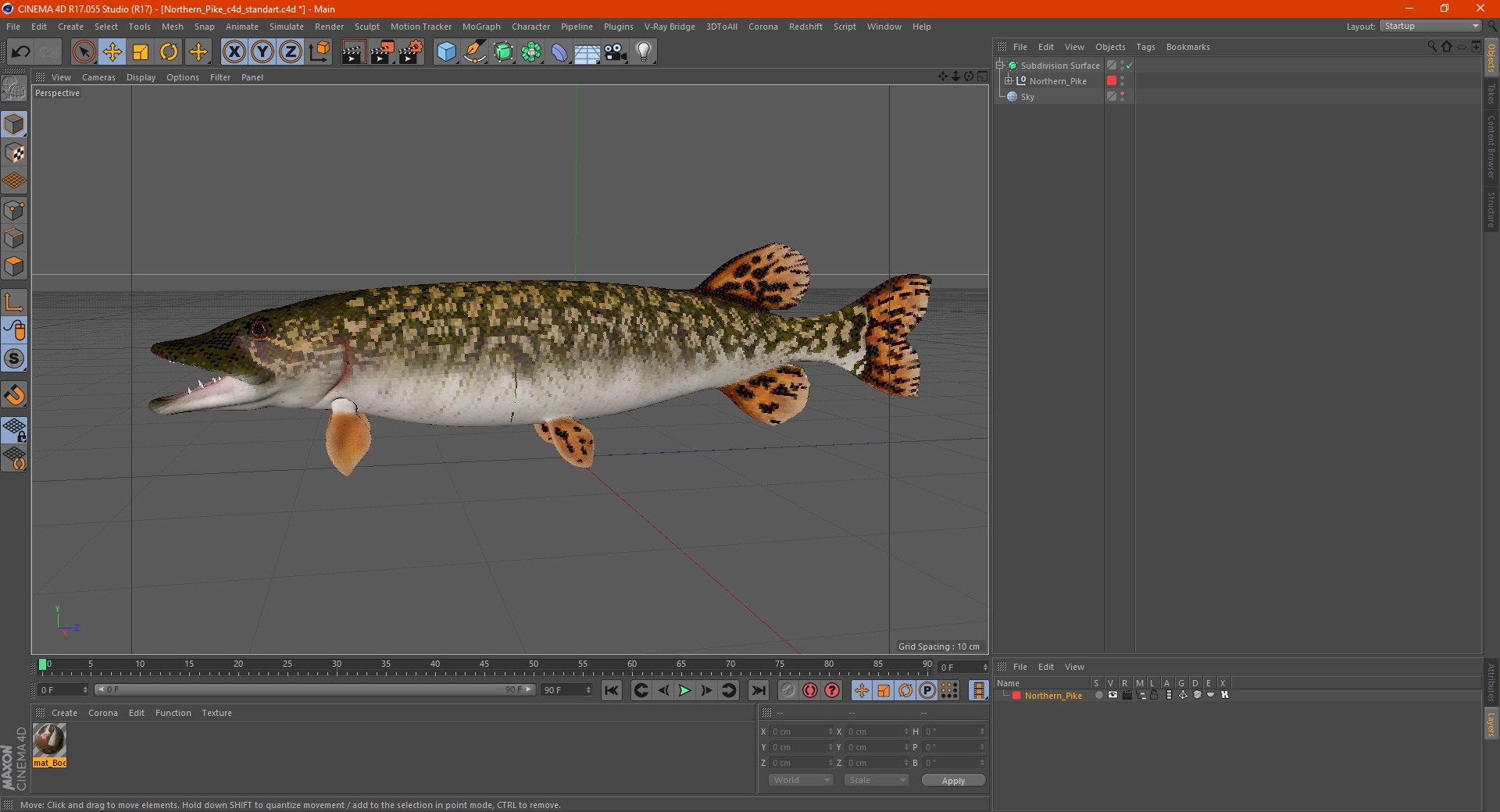 3D northern pike https://p.turbosquid.com/ts-thumb/BS/DPWgDY/63fYHXUT/northernpikevray3dmodel020/jpg/1593689903/1920x1080/fit_q87/3c244e4fefbdd165116b444d1cf2b080a7b3f4ed/northernpikevray3dmodel020.jpg