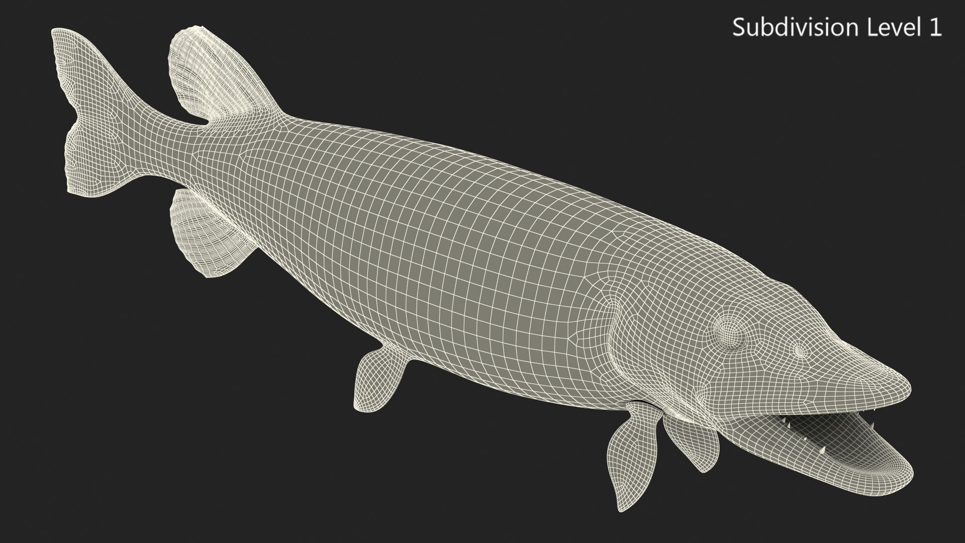 3D northern pike https://p.turbosquid.com/ts-thumb/BS/DPWgDY/WHjISX6p/northernpikevray3dmodel013/jpg/1593689847/1920x1080/fit_q87/f55ee9c4e7db731da6fc0abb43e5d34d26834691/northernpikevray3dmodel013.jpg