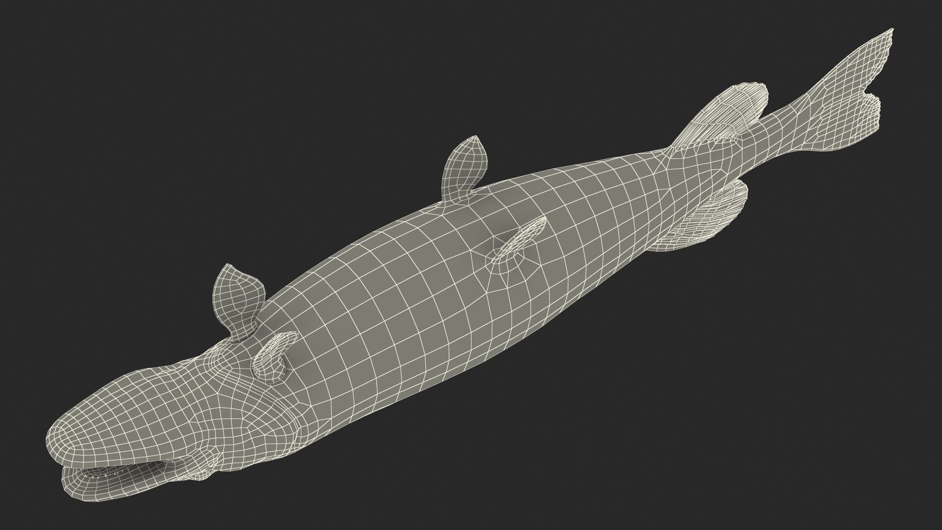 3D northern pike https://p.turbosquid.com/ts-thumb/BS/DPWgDY/jyj9uRrV/northernpikevray3dmodel022/jpg/1593689919/1920x1080/fit_q87/d27881b12753c4d17a00da0e79713eb5a777bad7/northernpikevray3dmodel022.jpg