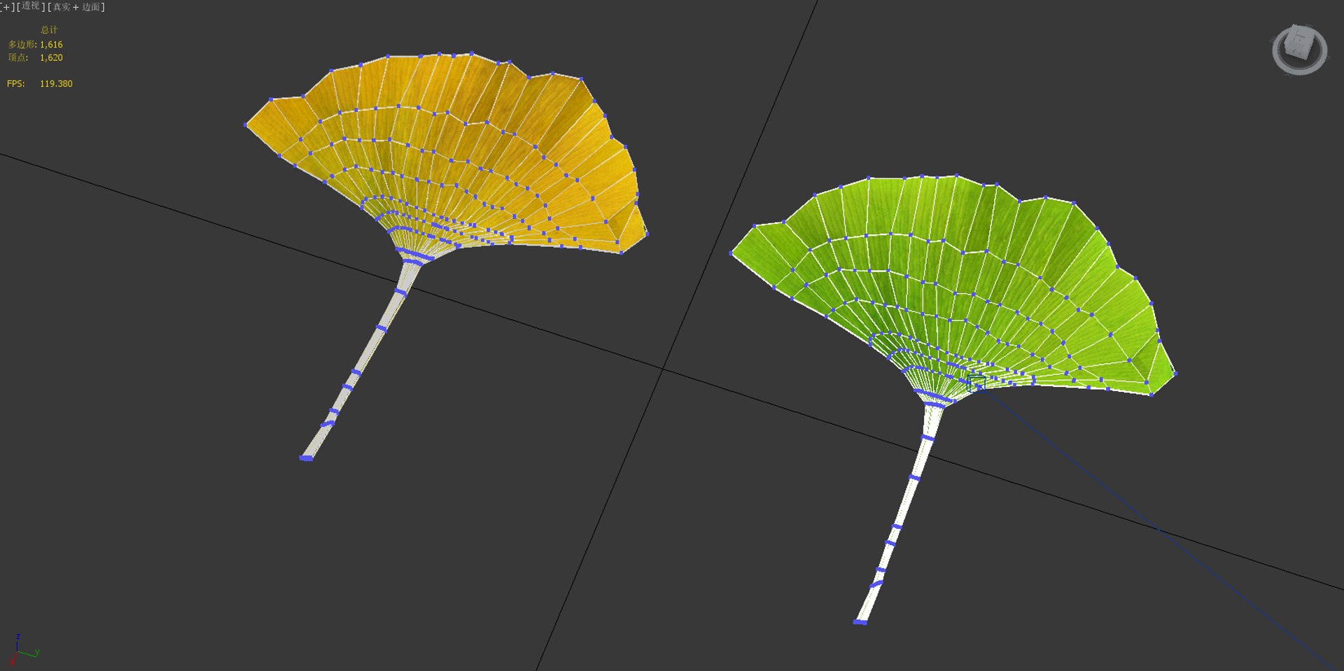 ginkgo plants trees 3D model https://p.turbosquid.com/ts-thumb/BS/QouLd1/iEg64TJ3/wire1/png/1546973176/1920x1080/fit_q87/0f499fb5977017f7512fbed2dfaf23cccd0454a6/wire1.jpg