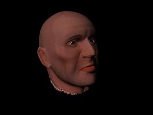 Male Severed Head
