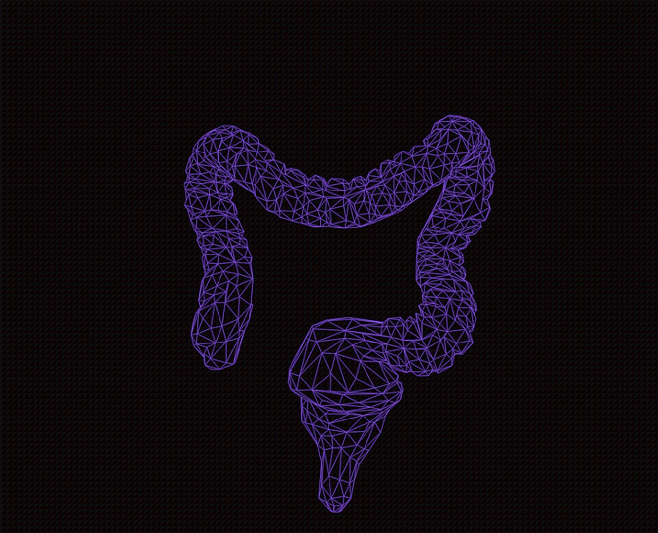 3d Intestine Model