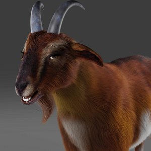 Goat 3D Models For Download | TurboSquid