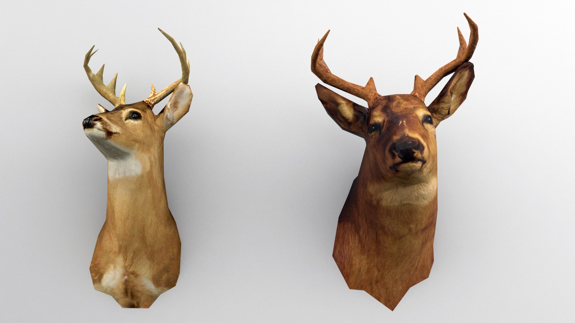 3ds max taxidermy deer https://p.turbosquid.com/ts-thumb/BS/xcUmLo/1NRugIXc/3/jpg/1433605319/1920x1080/fit_q87/8711cd649c8367bb9add1549691d943096402410/3.jpg