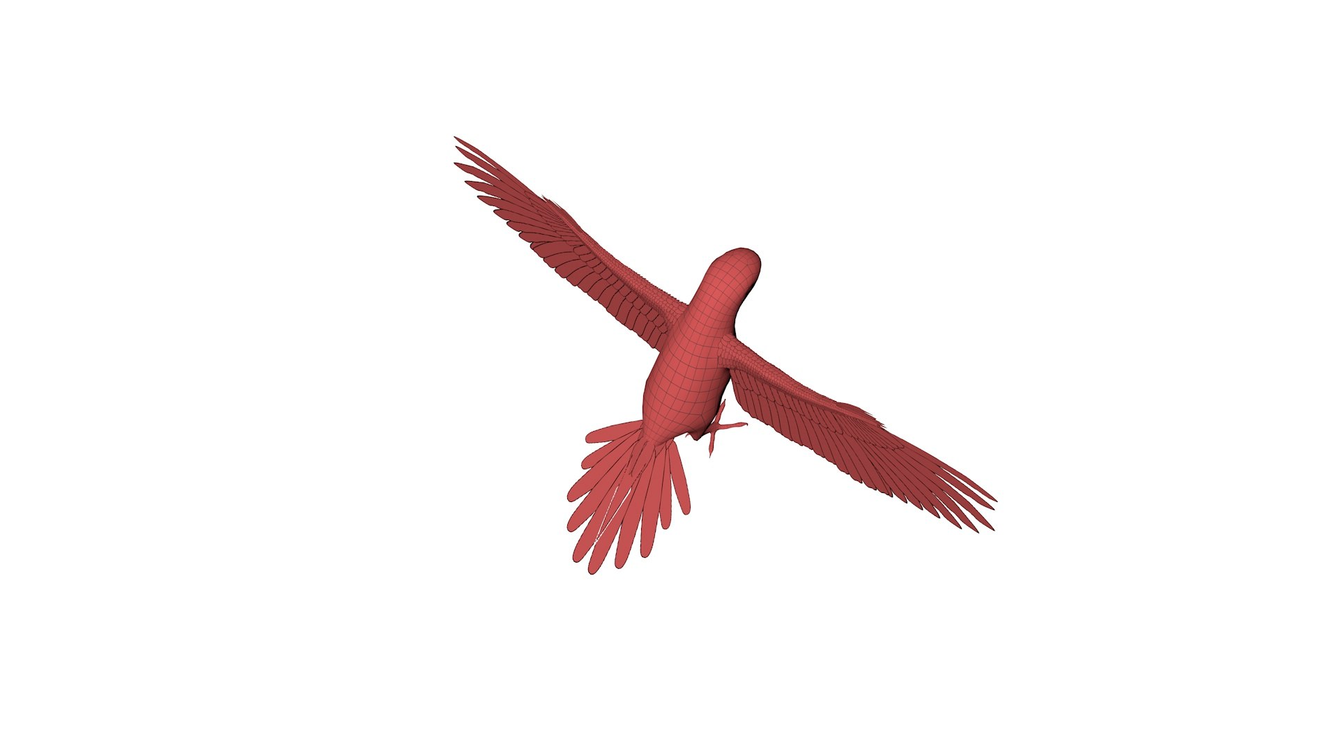 Mesh Parrot 3D Model - TurboSquid 1662187