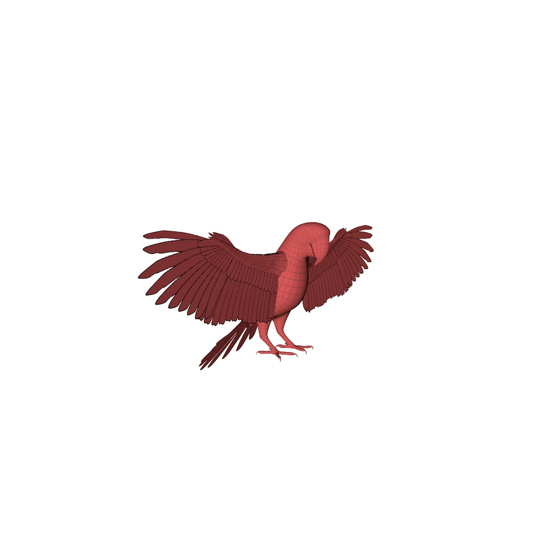 Mesh Parrot 3D Model - TurboSquid 1662187