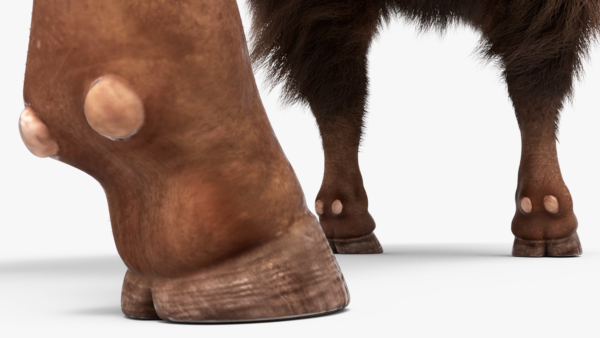 American Bison Fur Grazing Idle Animated Rigged For Maya model https://p.turbosquid.com/ts-thumb/BT/EYeWj1/AT/american_bison_fur_grazing_idle_animated_rigged_for_maya_011/jpg/1778489377/1920x1080/fit_q87/8aa2a7d0209bb74bd112c106f32ffb817a1cb384/american_bison_fur_grazing_idle_animated_rigged_for_maya_011.jpg