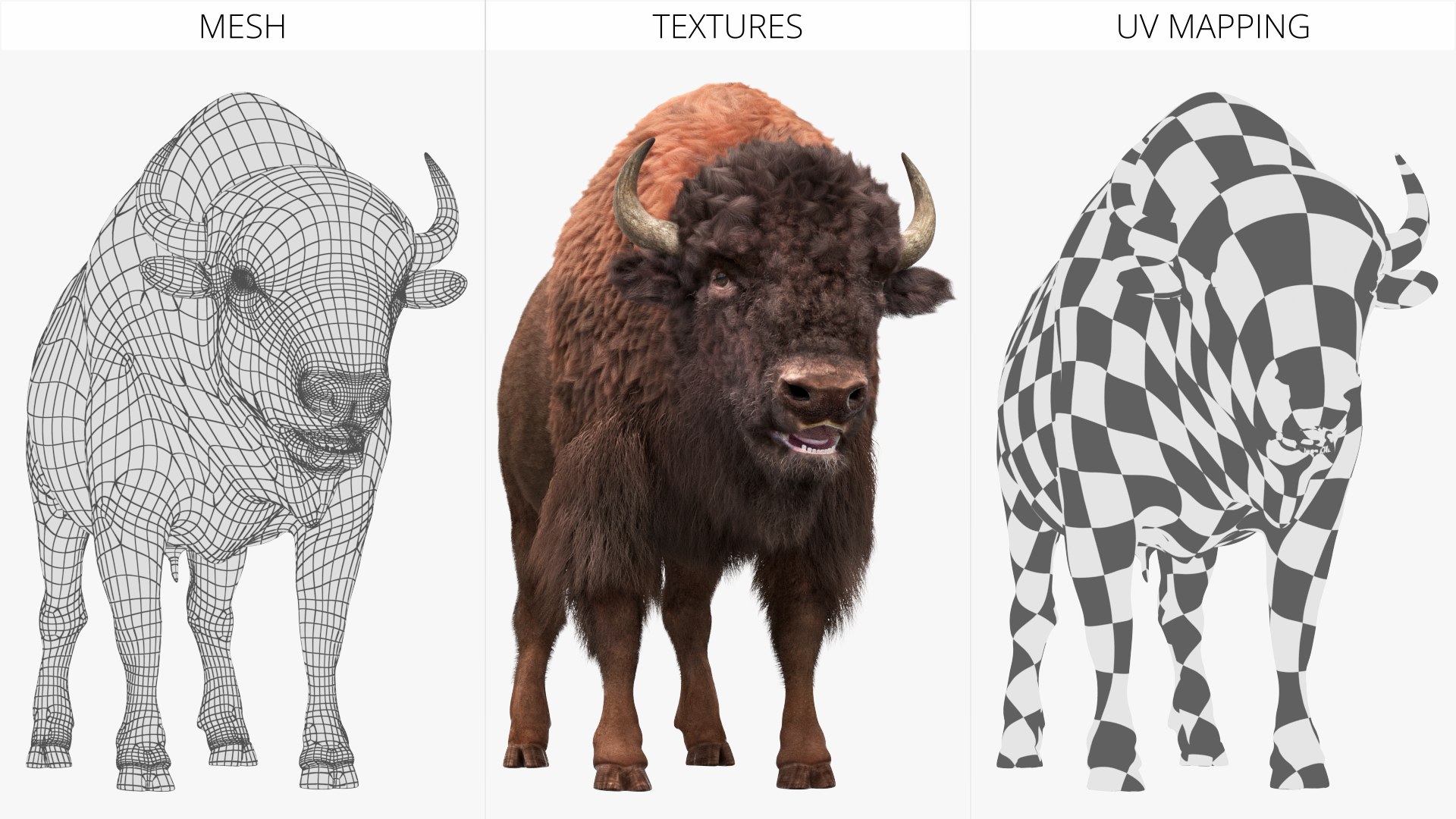 American Bison Fur Grazing Idle Animated Rigged For Maya model https://p.turbosquid.com/ts-thumb/BT/EYeWj1/Yt/american_bison_fur_grazing_idle_animated_rigged_for_maya_014/jpg/1778489386/1920x1080/fit_q87/3aa6a749168f18fbec70bfc6625b9933caaf4709/american_bison_fur_grazing_idle_animated_rigged_for_maya_014.jpg