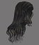Long hairstyle polygonal 5 species