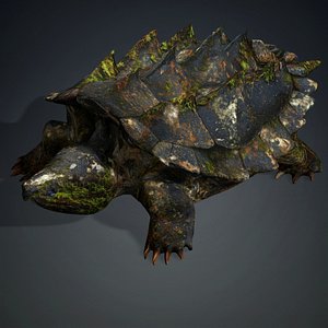 Alligator Turtle-V1c
