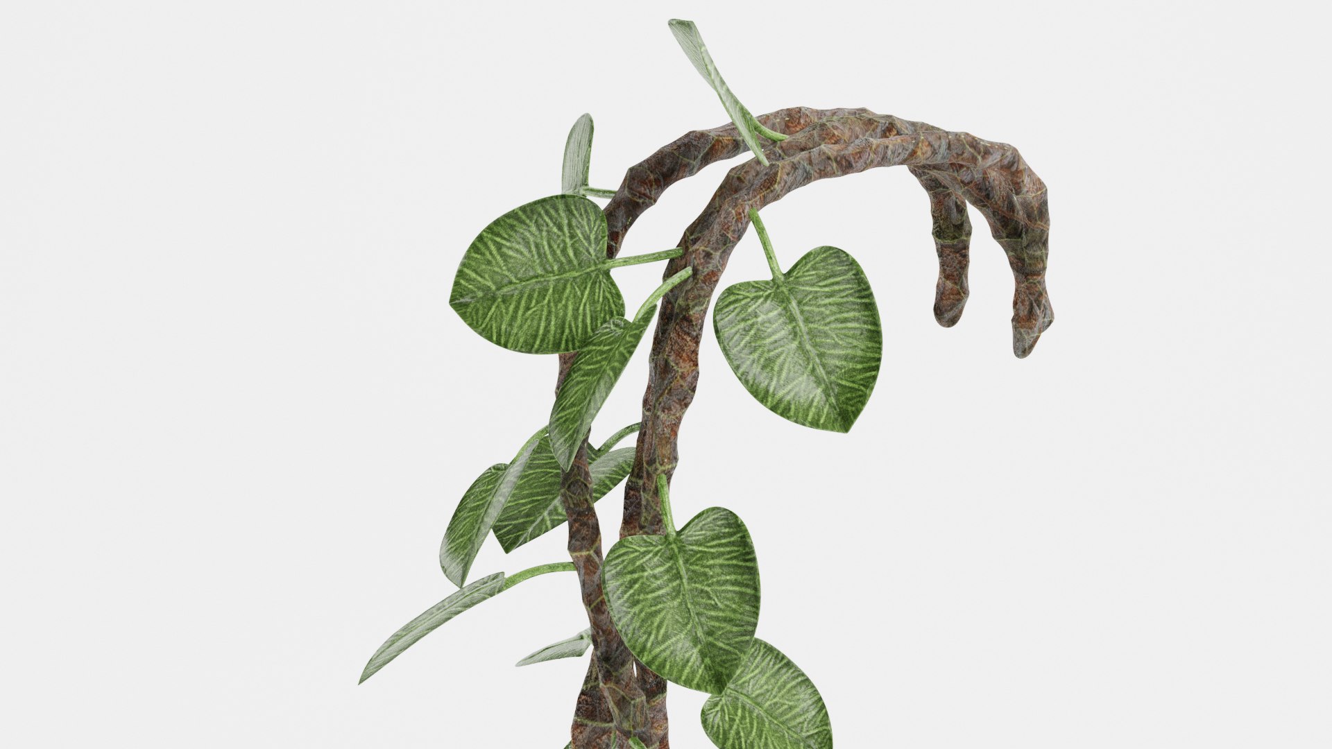 3D Model Liana Plant - TurboSquid 1682686