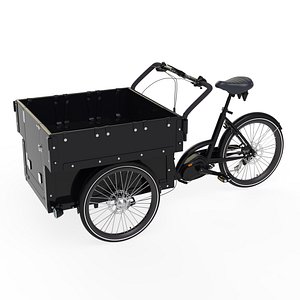 Third Gen Cargobike Open Type 3D
