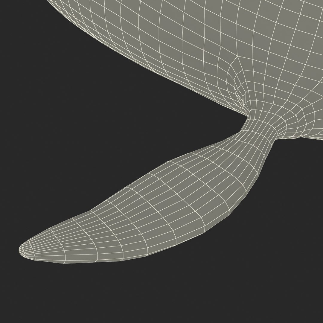 3ds kronosaurus pose 1 https://p.turbosquid.com/ts-thumb/BT/r68nb7/A0Vc86c2/kronosauruspose1_32/jpg/1410794787/1920x1080/fit_q87/f53903f1a726c7c02532dd0d7cd7723c0d9cbaff/kronosauruspose1_32.jpg