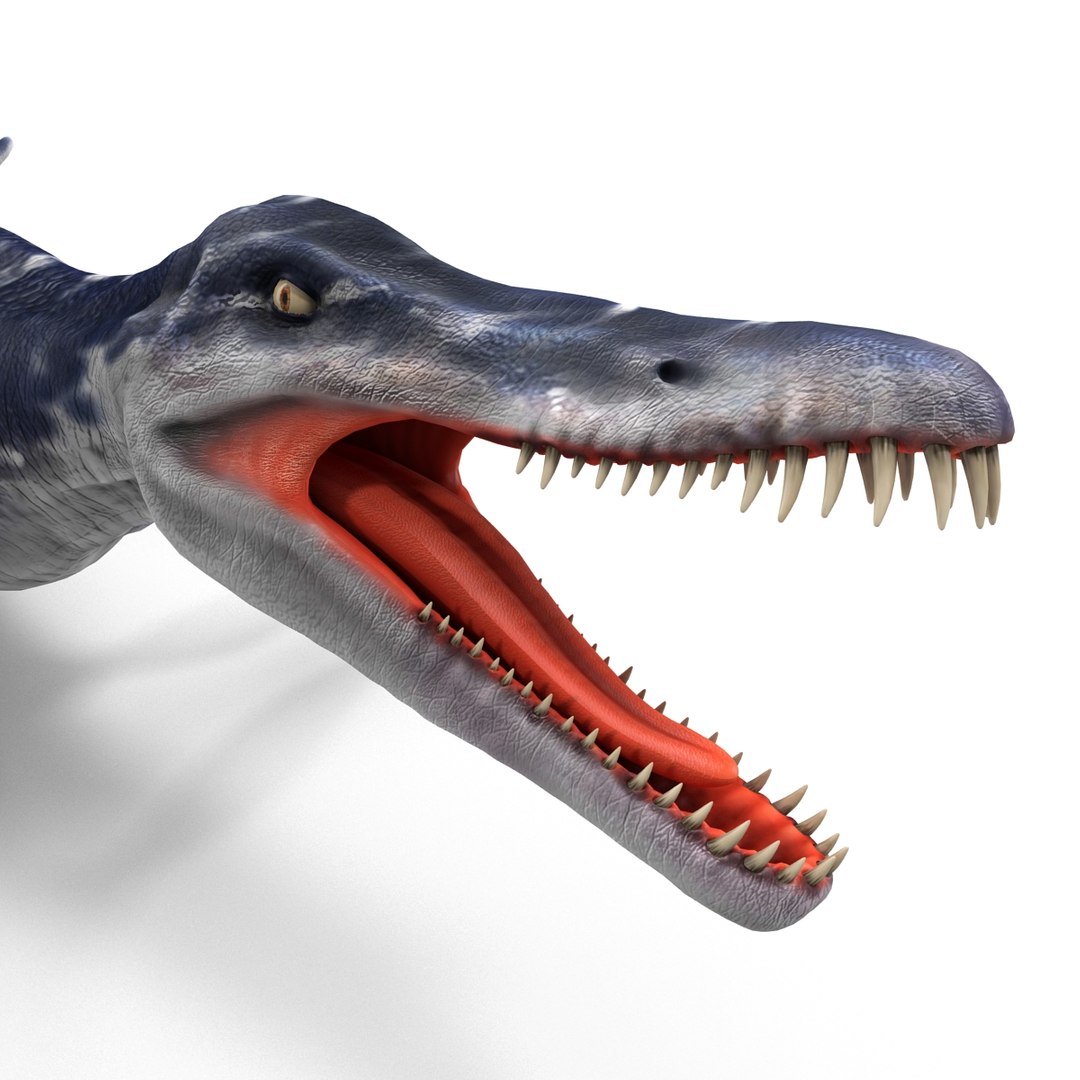 3ds Kronosaurus Pose 1