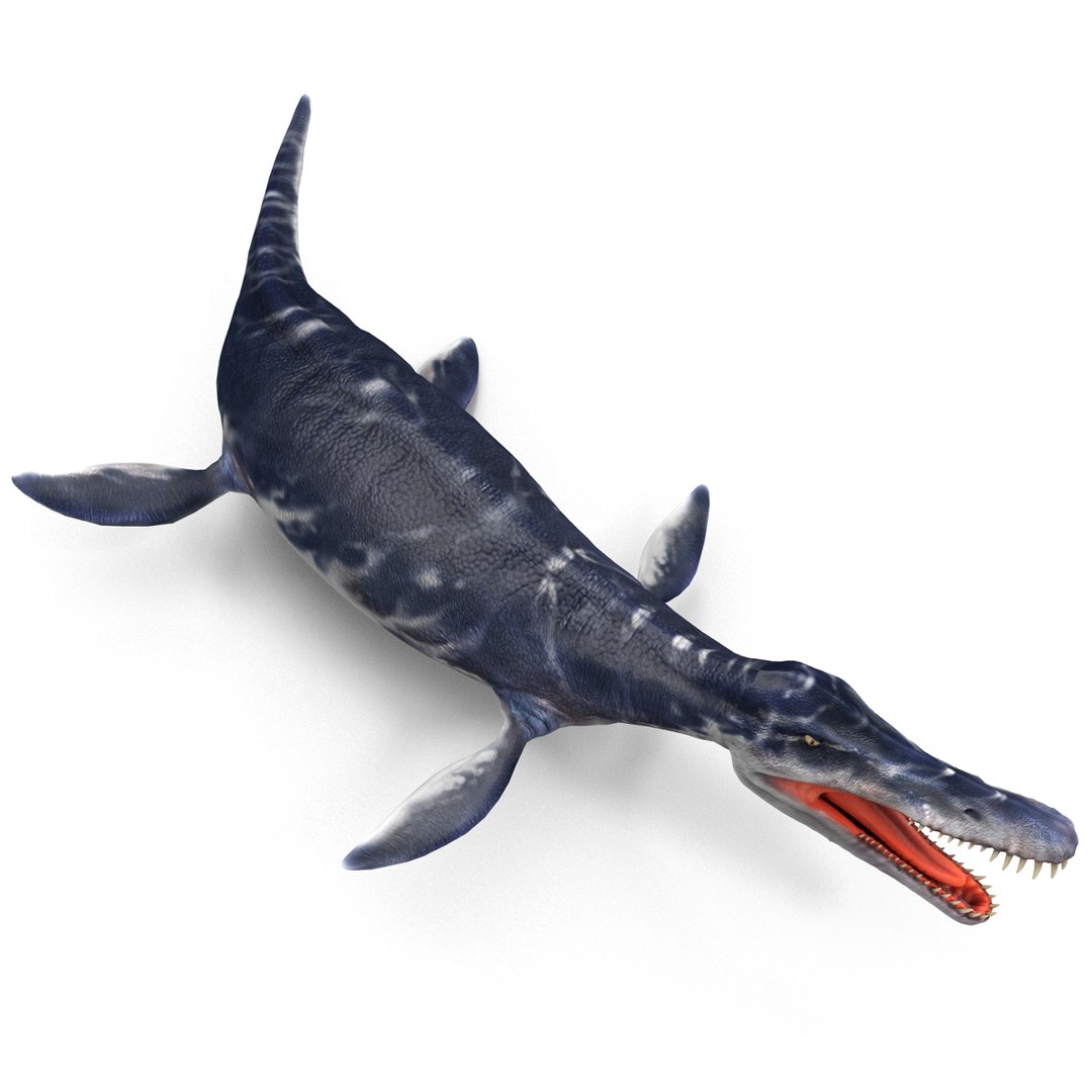 3ds kronosaurus pose 1 https://p.turbosquid.com/ts-thumb/BT/r68nb7/aCMjvmhn/kronosauruspose1_12/jpg/1410794786/1920x1080/fit_q87/2e270279d685edba453c717741e6f7aa9f0bcf61/kronosauruspose1_12.jpg