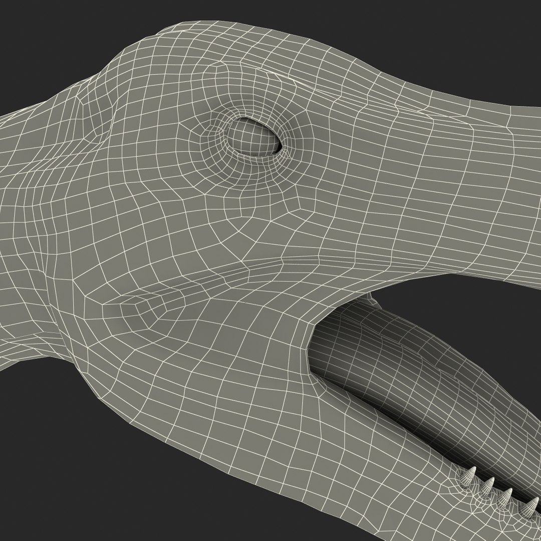 3ds kronosaurus pose 1 https://p.turbosquid.com/ts-thumb/BT/r68nb7/dOm0CuQg/kronosauruspose1_36/jpg/1410794832/1920x1080/fit_q87/d6bd2b11a41799d79e27ef532280cbb547d0becb/kronosauruspose1_36.jpg
