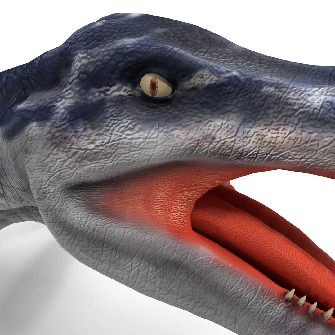 3ds kronosaurus pose 1 https://p.turbosquid.com/ts-thumb/BT/r68nb7/dxhwBegD/kronosauruspose1_19/jpg/1410794799/1920x1080/fit_q87/a210cb93847dce16bb95b58717735638af9582a5/kronosauruspose1_19.jpg