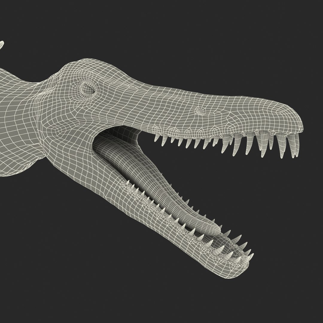 3ds kronosaurus pose 1 https://p.turbosquid.com/ts-thumb/BT/r68nb7/lofxaXeV/kronosauruspose1_31/jpg/1410794822/1920x1080/fit_q87/b8a7b37c6e9b97c34bfacb4fa7e96e8bbfab8091/kronosauruspose1_31.jpg