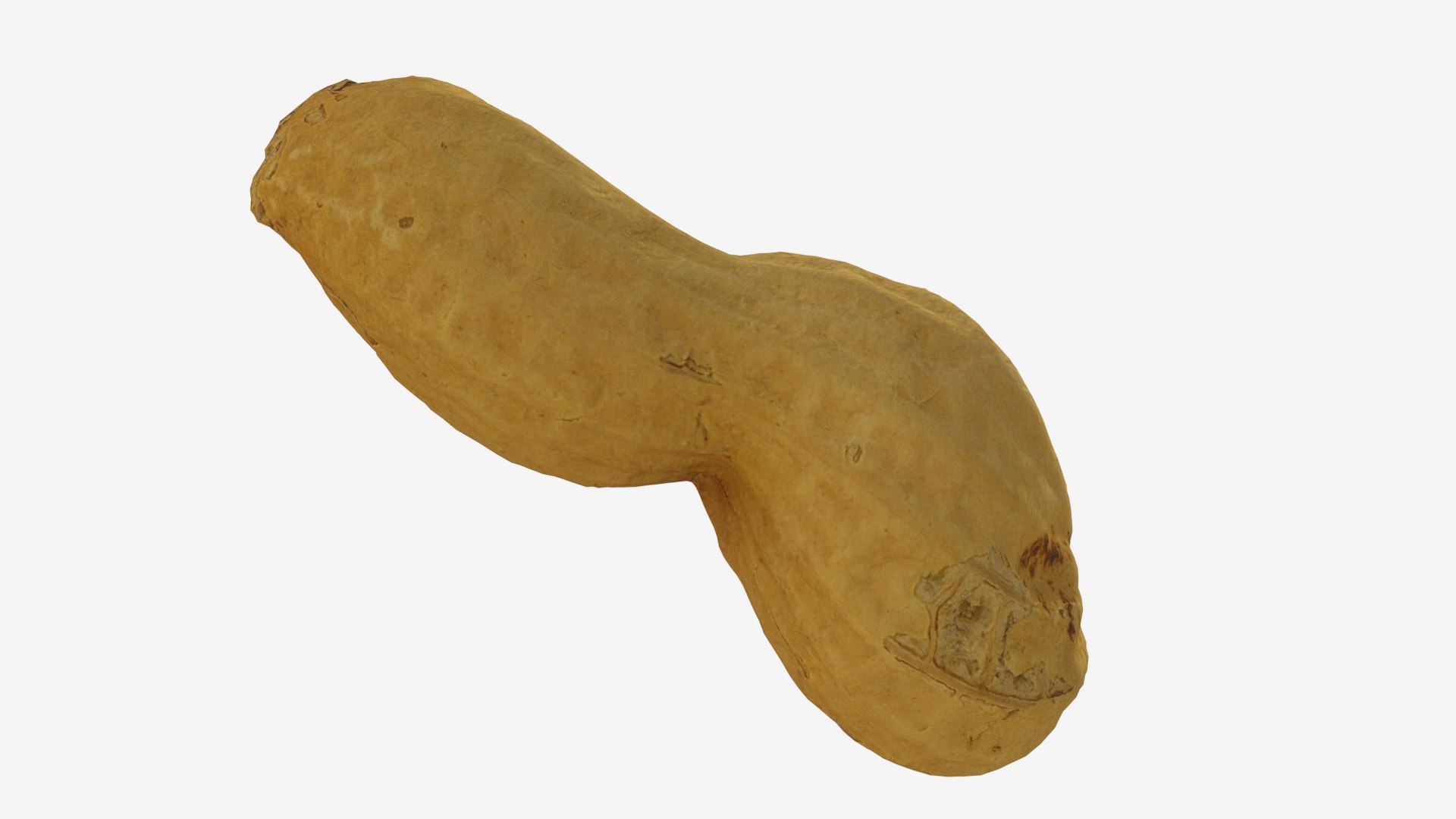 Peanut 4 model https://p.turbosquid.com/ts-thumb/BT/snYPcH/1c/peanut4_previewimage05/jpg/1630850227/1920x1080/fit_q87/4b2ace5f9b7f23230b9413401d72d8df1474b3c5/peanut4_previewimage05.jpg